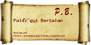 Palágyi Bertalan névjegykártya