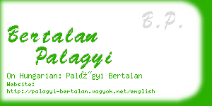 bertalan palagyi business card